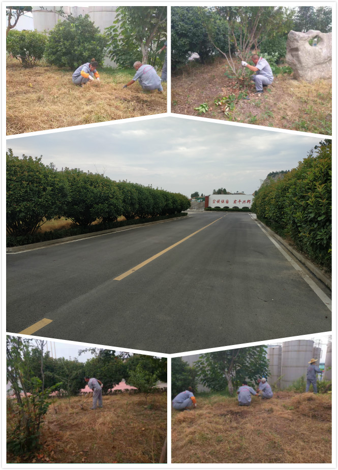 1567556395794008.jpg 未命名_meitu_3.jpg