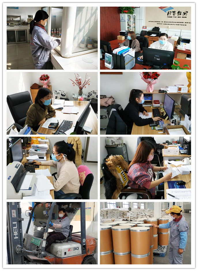 1583718368740875.jpg initpintu_副本.jpg