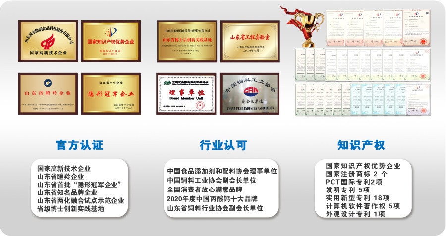 1656293072603221.jpg 創(chuàng)新榮譽3.jpg